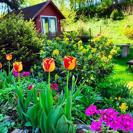 Bed And Breakfast Tvrz Velka Bukovina Экстерьер фото