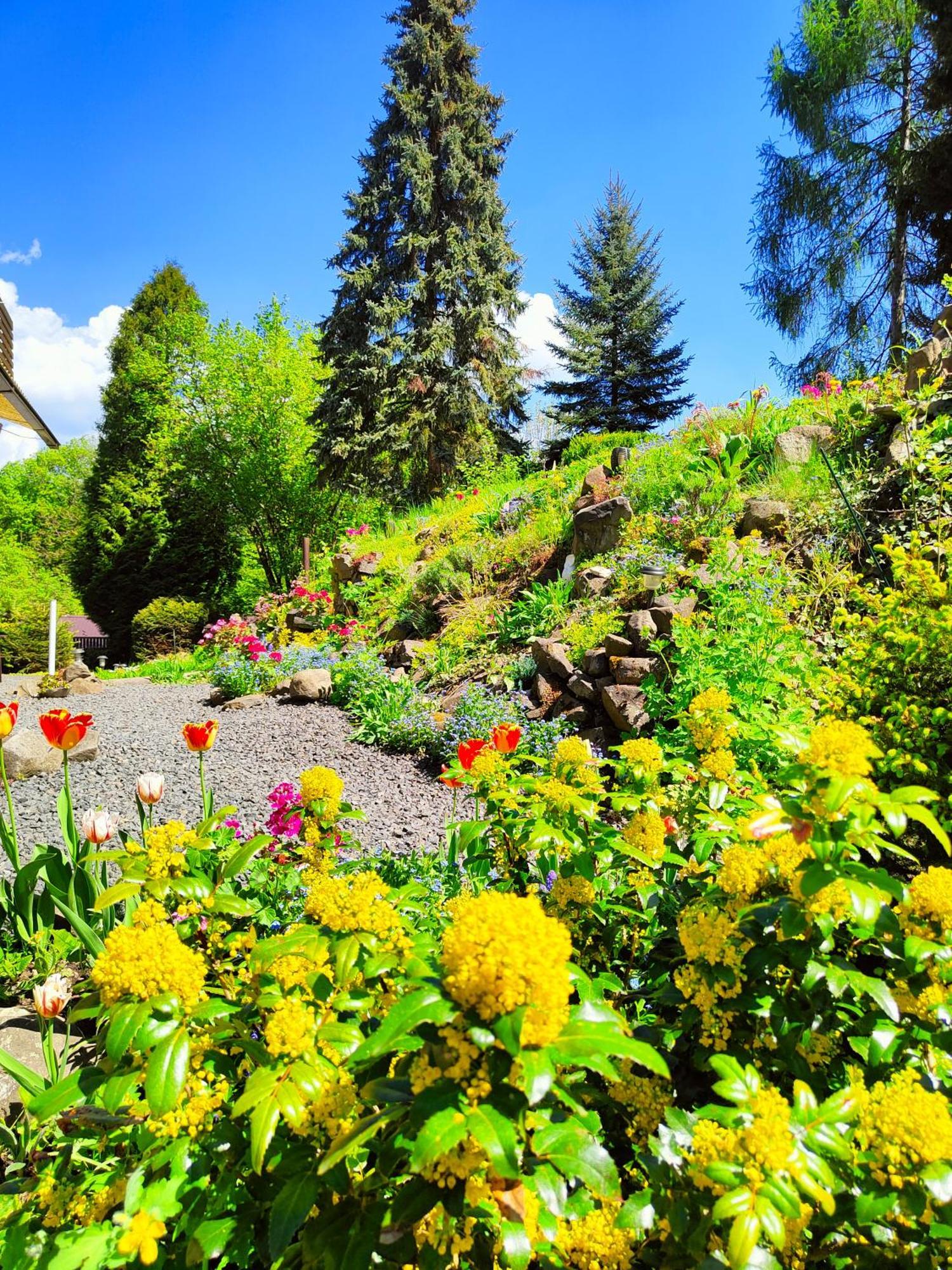 Bed And Breakfast Tvrz Velka Bukovina Экстерьер фото