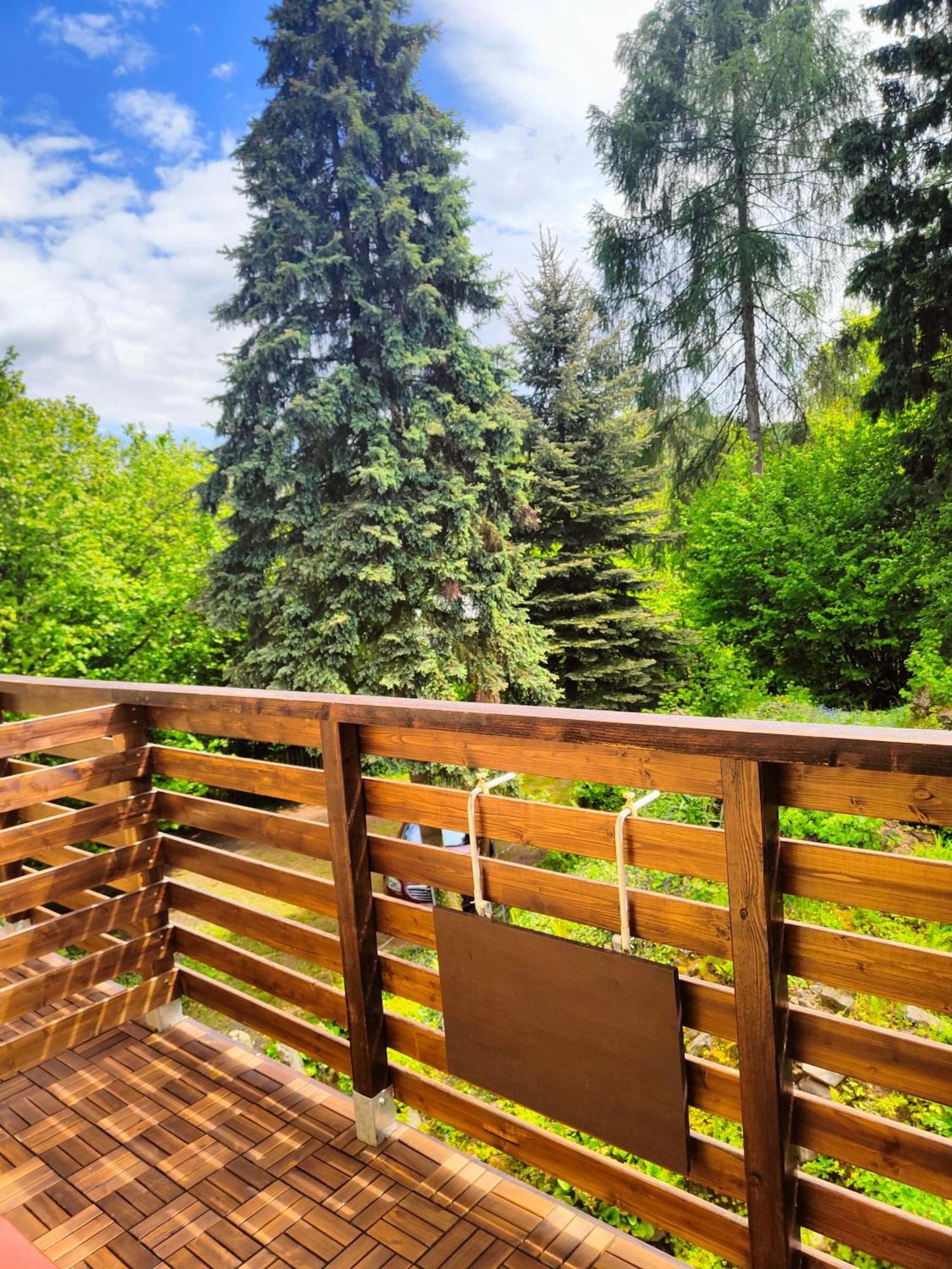 Bed And Breakfast Tvrz Velka Bukovina Экстерьер фото